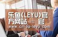 组织结构